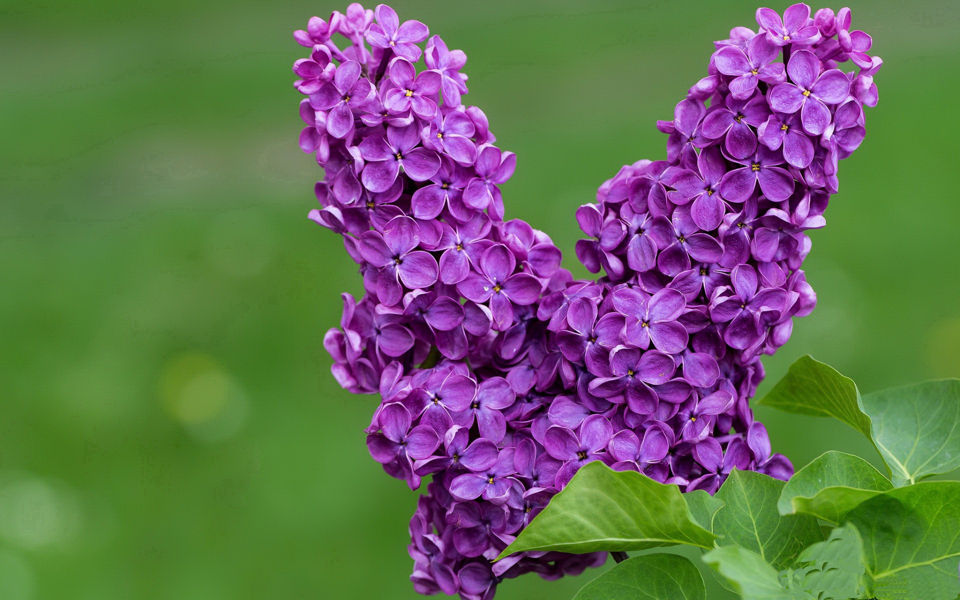 指挥中心大升级,赛事运行效率再提升,指挥中心有什么用